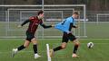 WVV 19-1 OP RAND VAN PROMOTIE NAAR LANDELIJKE 2e DIVISIE