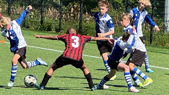 WVV JO11-1 WINT VAN HELPMAN JO11-1
